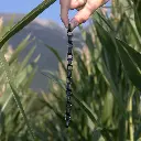 chaîne 2.webp